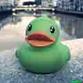 ٻǹ CrazyDuck