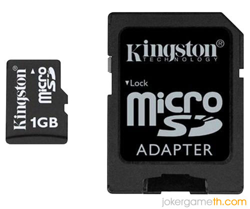 MicroSD Card 1 Gb